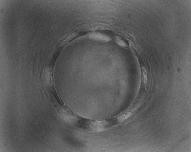 X0000051240527200506171113