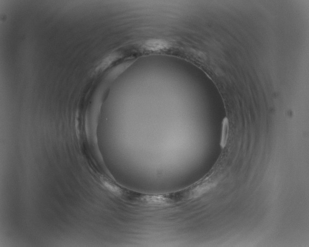 X0000051240528200506171113