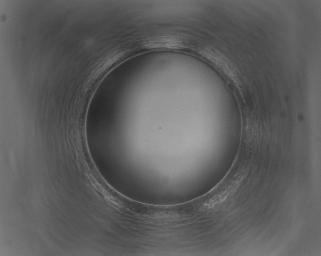 X0000051240529200506171112