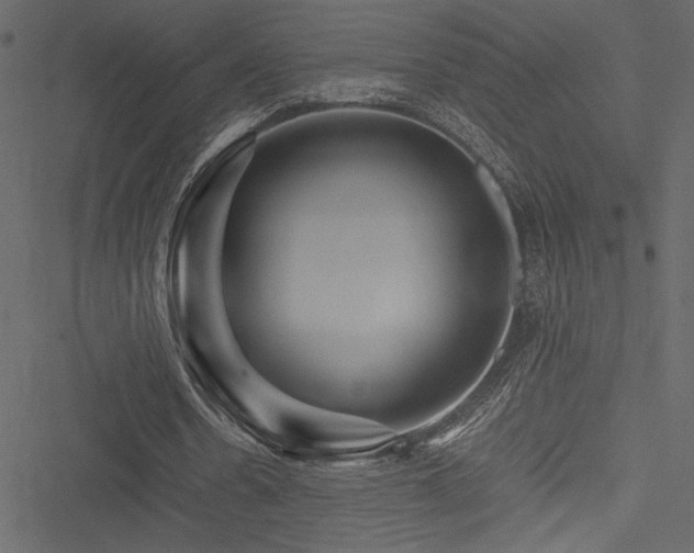 X0000051240530200506171112