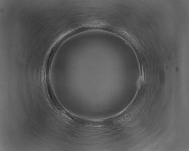 X0000051240531200506171112