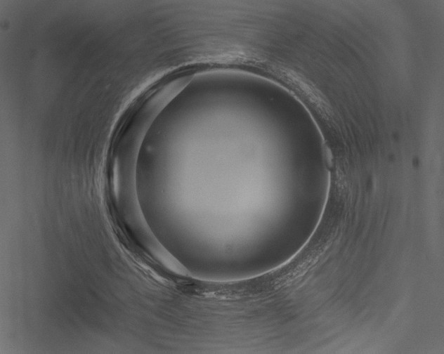 X0000051240532200506171112