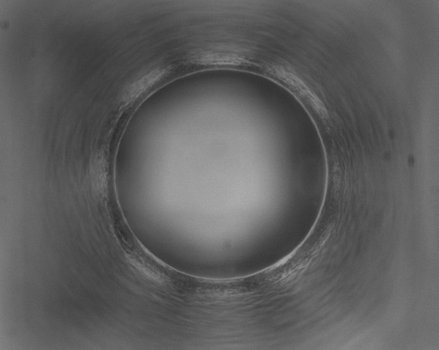 X0000051240533200506171112