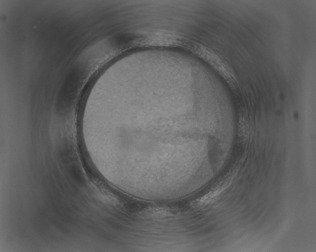 X0000051240534200506171112