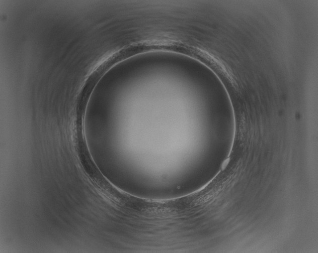 X0000051240535200506171113