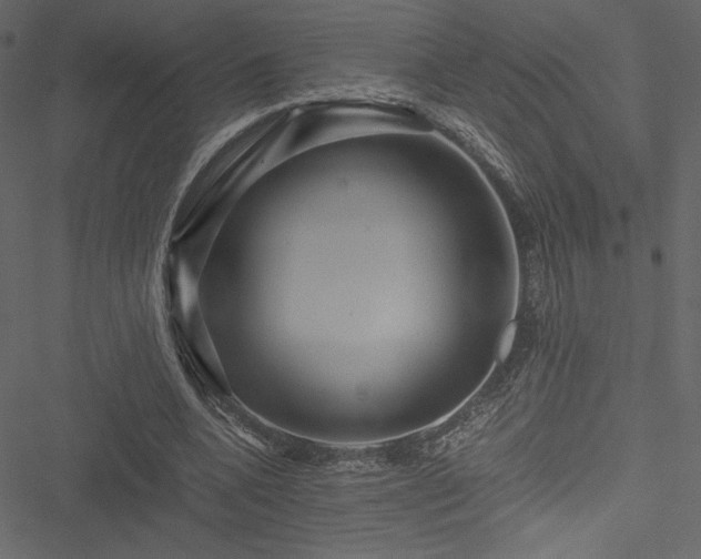 X0000051240536200506171113