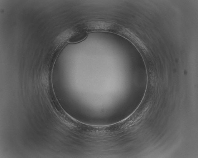 X0000051240537200506171113