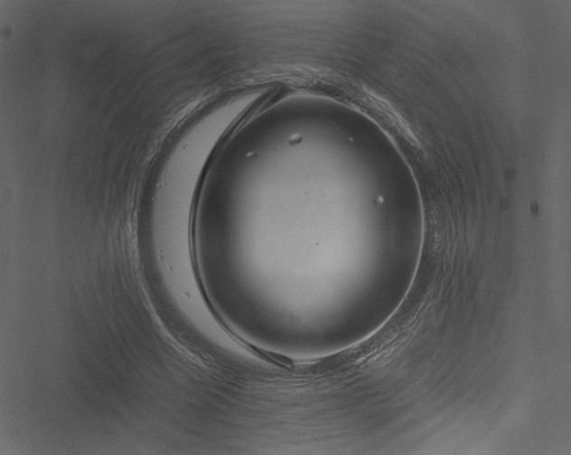 X0000051240538200506171113