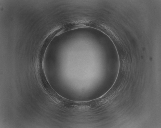 X0000051240539200506171113