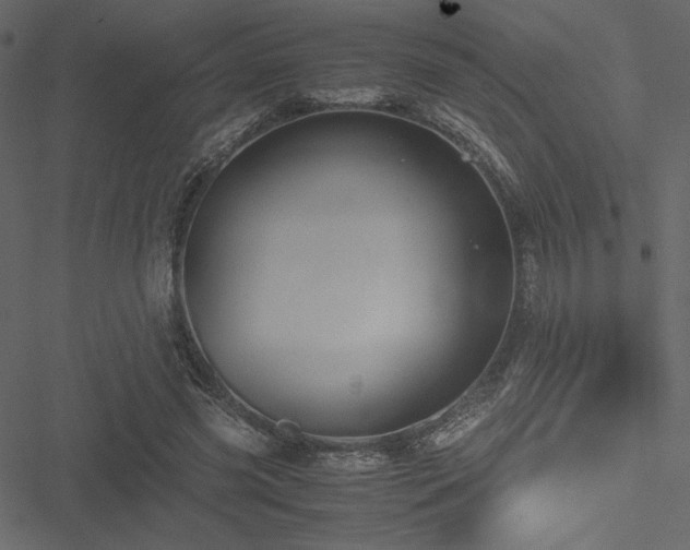 X0000051240541200506171113