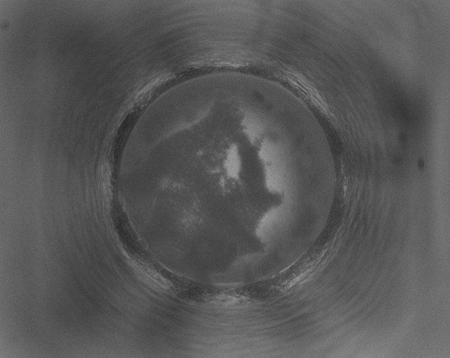 X0000051240542200506171113