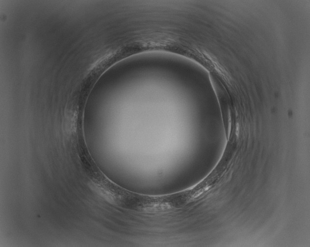 X0000051240543200506171113