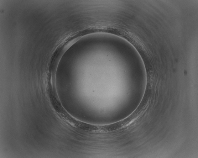 X0000051240544200506171113