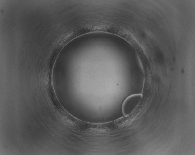 X0000051240545200506171113