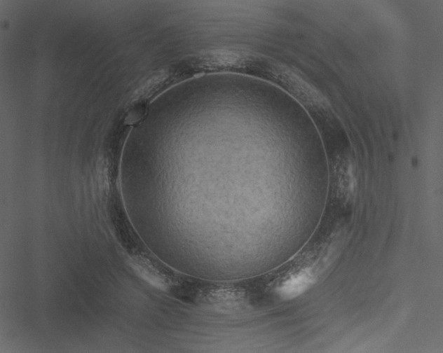 X0000051240546200506171113