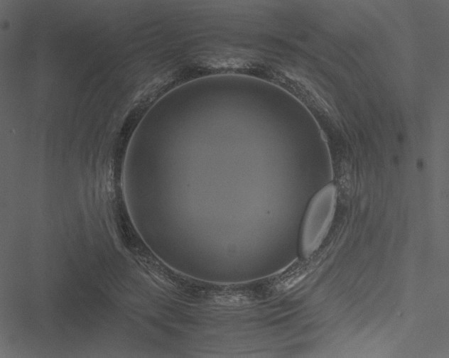 X0000051240547200506171113