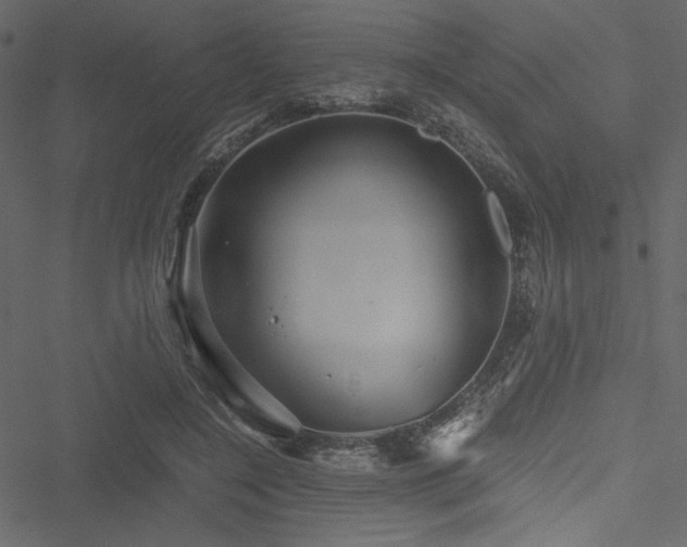 X0000051240548200506171113