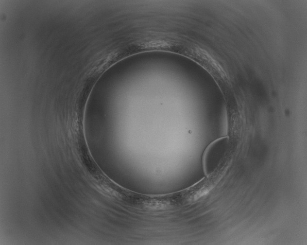 X0000051240549200506171113