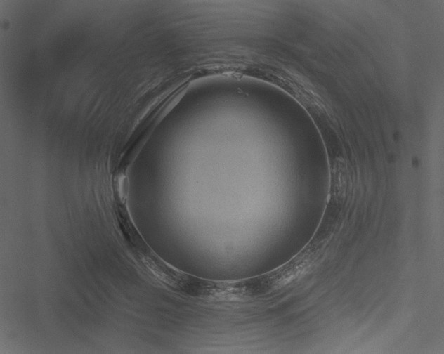 X0000051240550200506171113