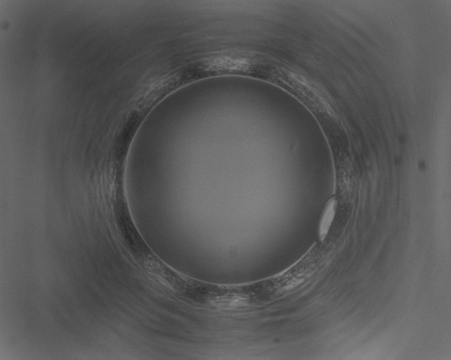 X0000051240551200506171113