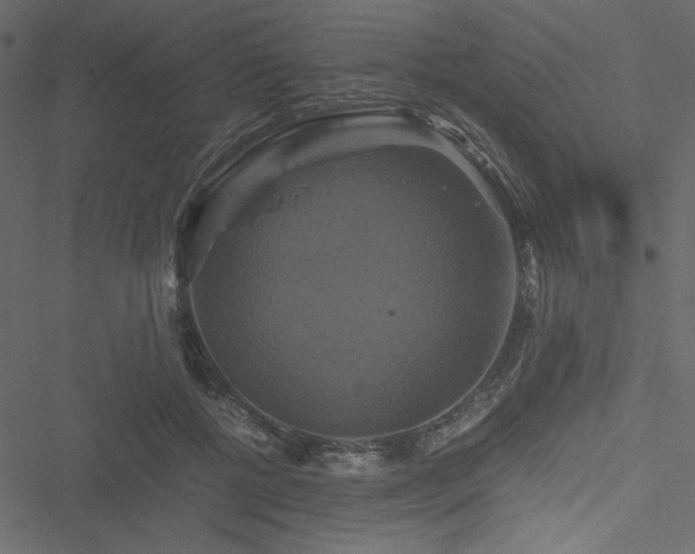 X0000051240552200506171113