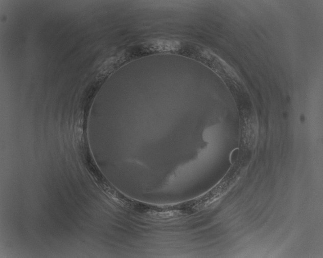 X0000051240553200506171113