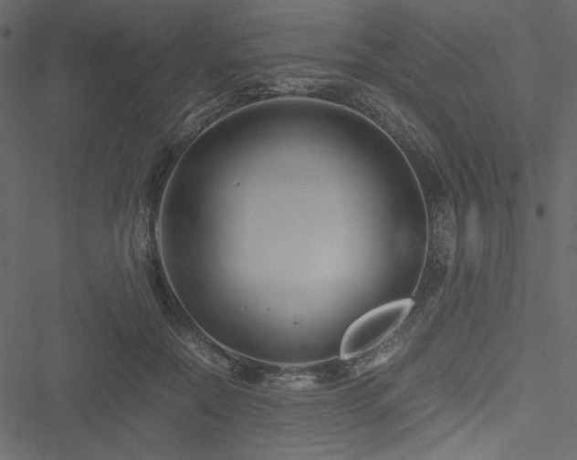 X0000051240554200506171113