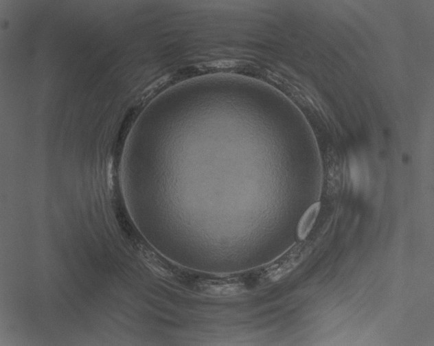 X0000051240555200506171113