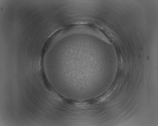 X0000051240556200506171113