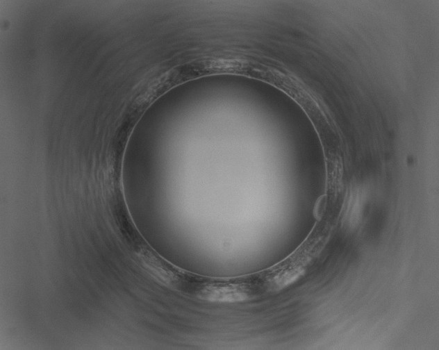 X0000051240557200506171113