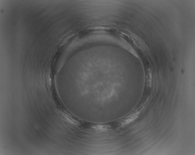 X0000051240558200506171113