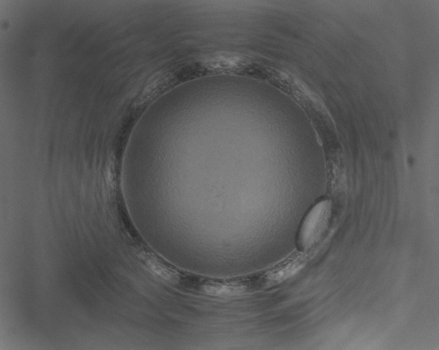 X0000051240561200506171113