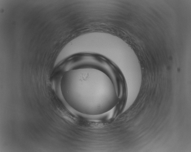 X0000051240562200506171113