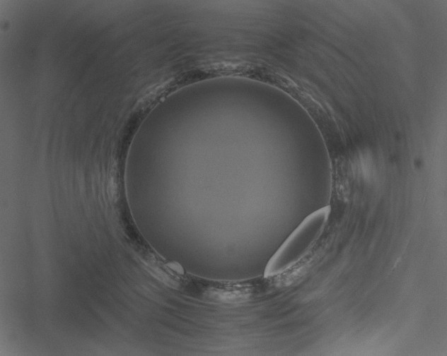 X0000051240563200506171113