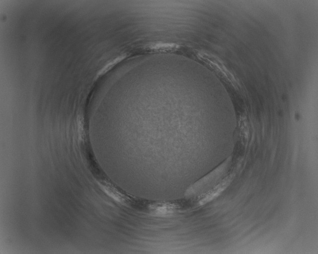 X0000051240564200506171113