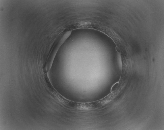 X0000051240565200506171113