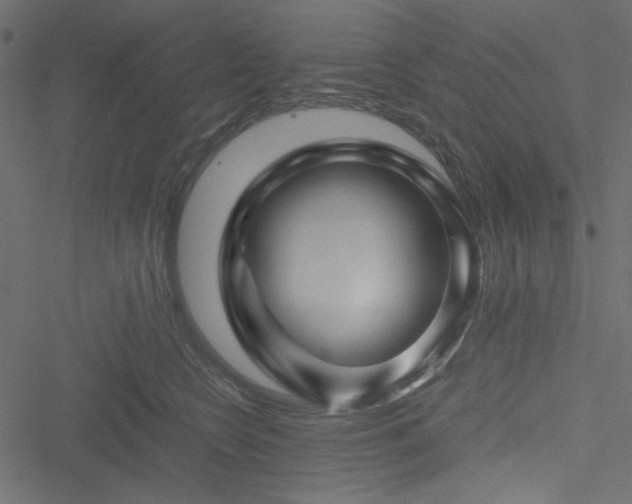 X0000051240566200506171113