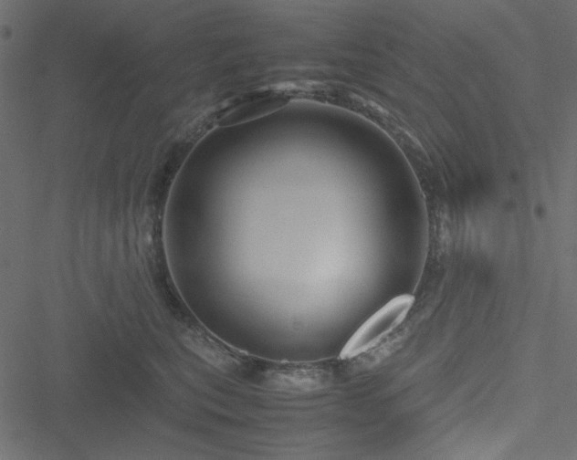 X0000051240567200506171113