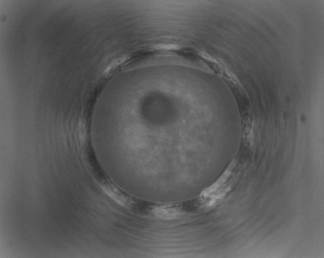 X0000051240568200506171113