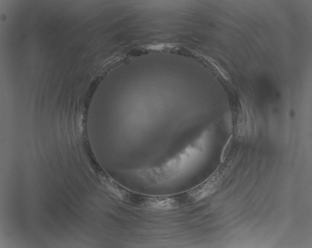 X0000051240569200506171113