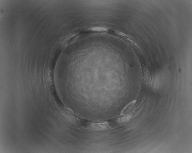 X0000051240571200506171113