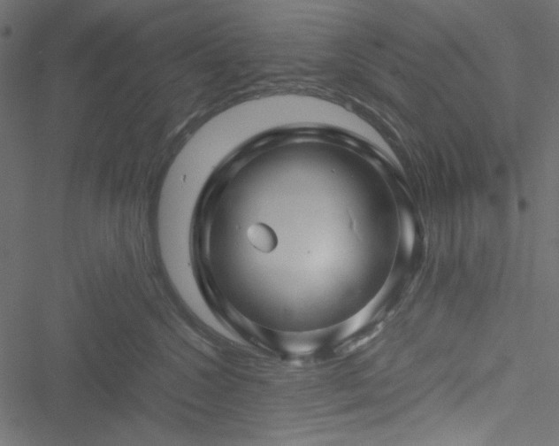 X0000051240572200506171113