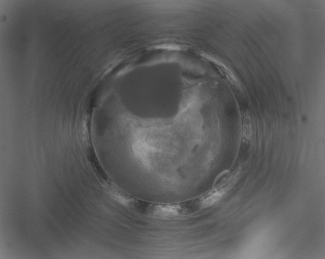 X0000051240573200506171113