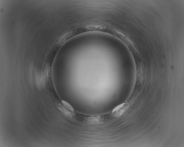 X0000051240574200506171113