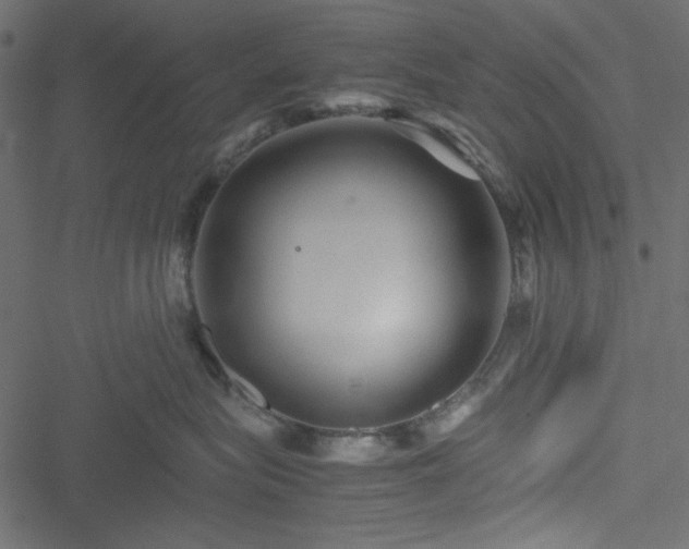 X0000051240575200506171113