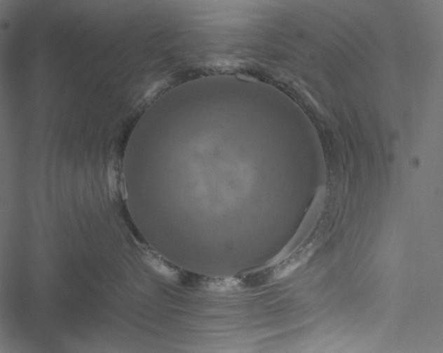 X0000051240576200506171113