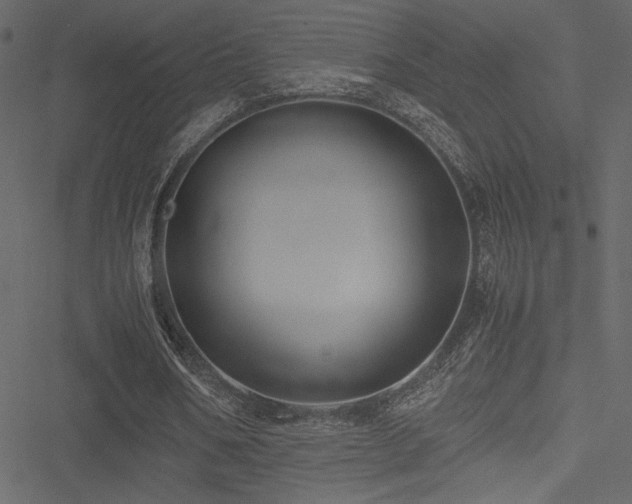 X0000051240578200506171112