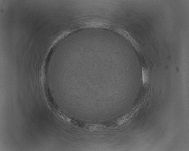 X0000051240579200506171112