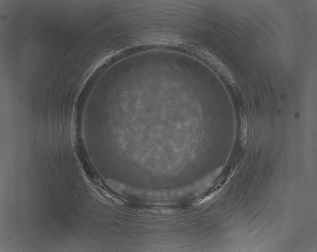 X0000051240580200506171112