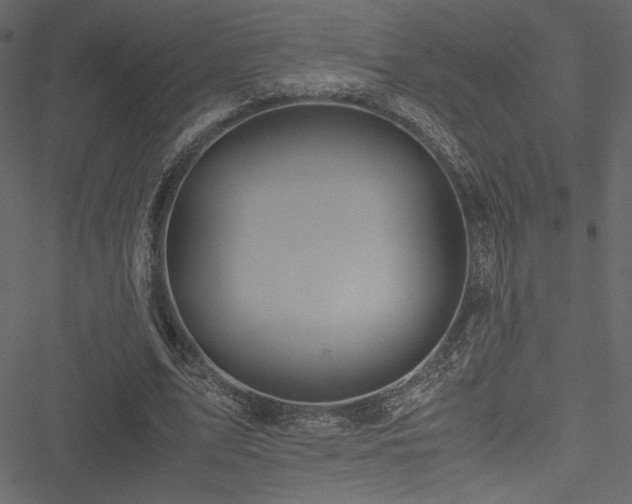 X0000051240583200506171112